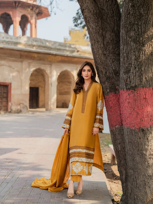 House Of Beenora | Best women clothing brand in Pakistan